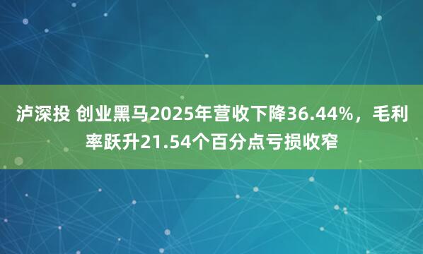 泸深投 创业黑马2025年营收下降36.44%，毛利率跃升21.54个百分点亏损收窄