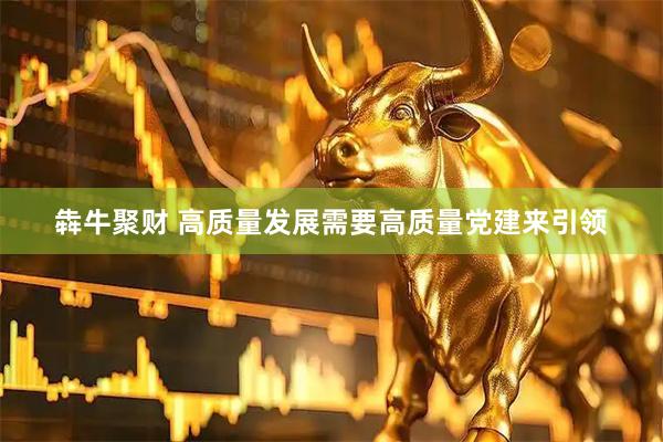 犇牛聚财 高质量发展需要高质量党建来引领